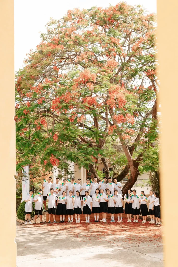 Tập thể học sinh đứng dưới cây hoa đỏ trong sân trường