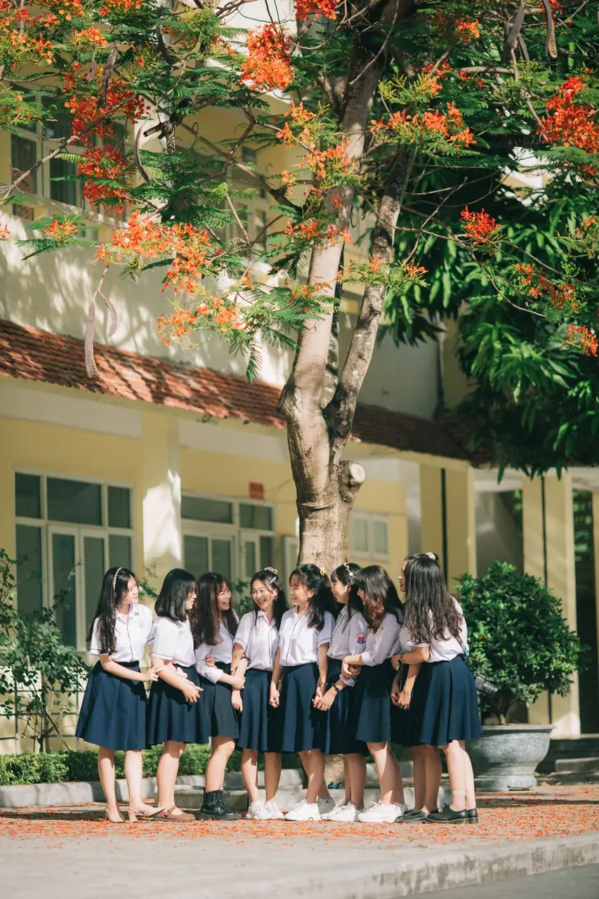 Nữ sinh dưới tán cây phượng gần lớp học