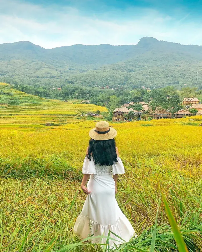 Cánh đồng và dãy núi trong hành trình ngoài trời